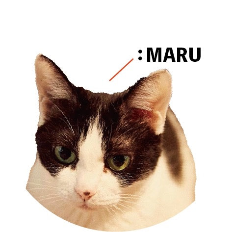 保護猫ギャラリー MARU【まる】