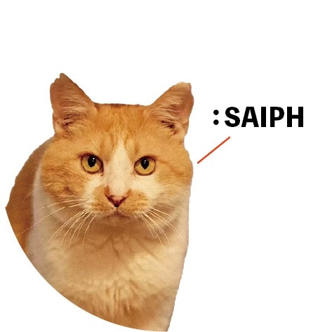 保護猫ギャラリー SAIPH【サイフ】